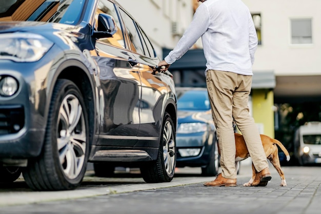 Un homme d'affaires vêtu d'une tenue élégante et décontractée ouvrant la voiture et laissant entrer son chien