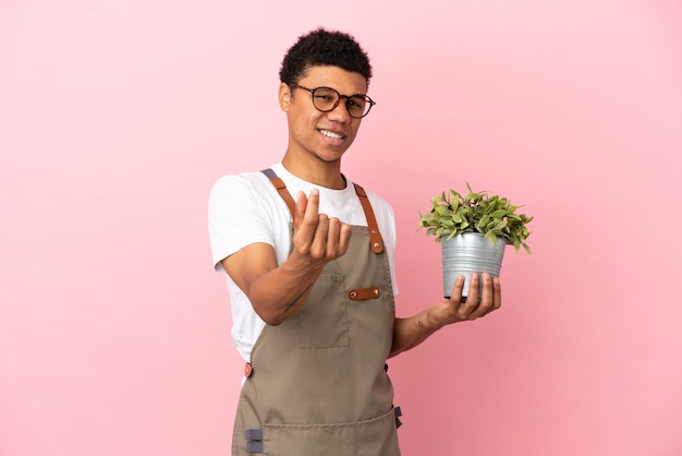 Homme africain de jardinier tenant une usine d'isolement sur le fond rose faisant le geste d'argent