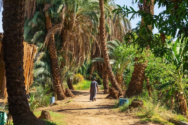 Homme africain local dans la jungle du Nil