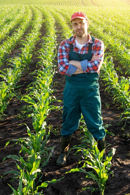 Homme d'âge moyen caucasien confiant travailleur agricole satisfait avec les bras croisés se tient au champ de maïs
