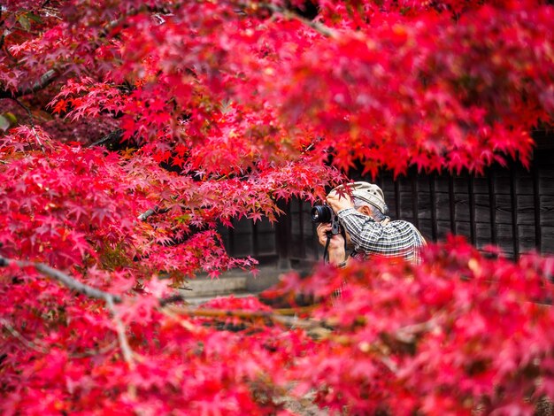 Homme âgé photographiant avec un appareil photo vu à travers les branches d'érable