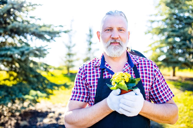 Homme âgé plantant des plantes dans le jardin à l'extérieur du printemps prêt