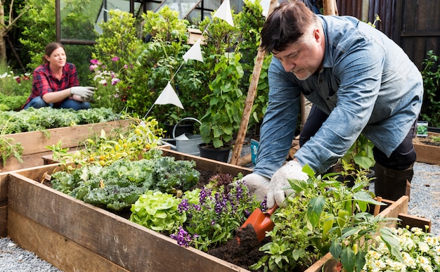 Homme agriculteur adulte plantant un légume avec une pelle