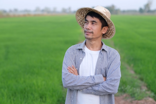 Homme agriculteur asiatique debout les bras croisés à la ferme de riz vert