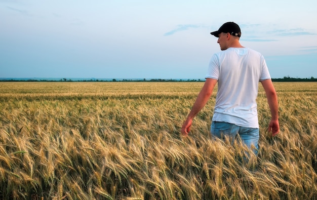 Photo homme agriculteur debout dans un champ de blé pendant le coucher du soleil