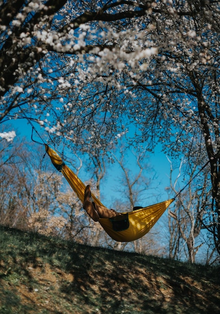 Un homme allongé dans un hamac sous un cerisier avec un ciel bleu en arrière-plan Le printemps dans le parc