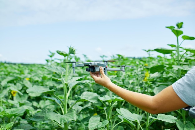 Homme apprenant à piloter son drone chez un homme à l'aide d'un drone volant sur un champ de tournesols