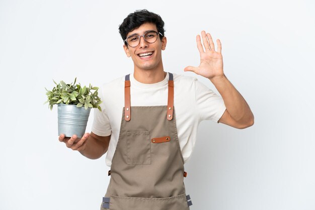 Homme argentin jardinier tenant une plante isolée sur fond blanc comptant cinq avec les doigts