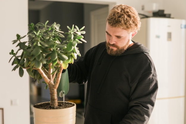 Homme arrosant une plante d'intérieur succulente en arrosant à la maison concept de plantes de soins et de travaux ménagers