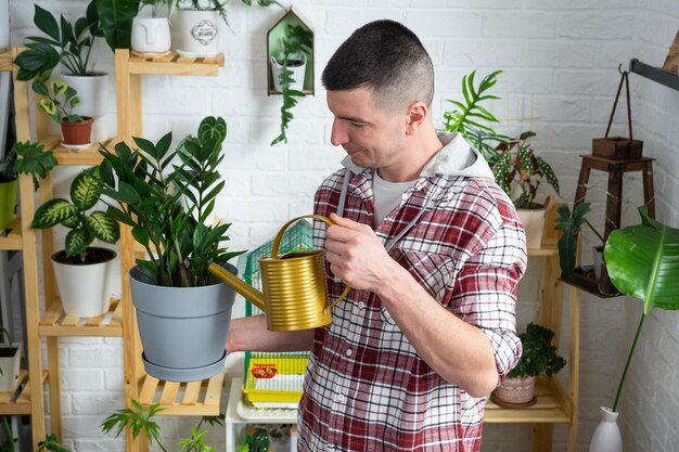 Arrosage à Partir D'un Arrosoir Plantes D'origine Cultivées Avec Amour Sur  Des étagères à L'intérieur De La Maison