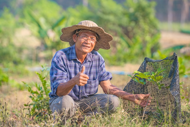 Homme asiatique Senior Farmer, homme asiatique agriculteur sur espace copie vide