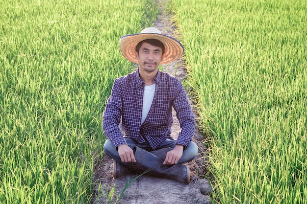 Un homme asiatique vêtu d'une chemise à rayures bleues est assis en regardant joyeusement les produits dans la rizière.