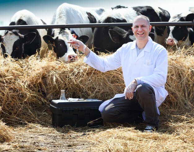 Homme assis avec des tubes à essai à la main sur la ferme de vache