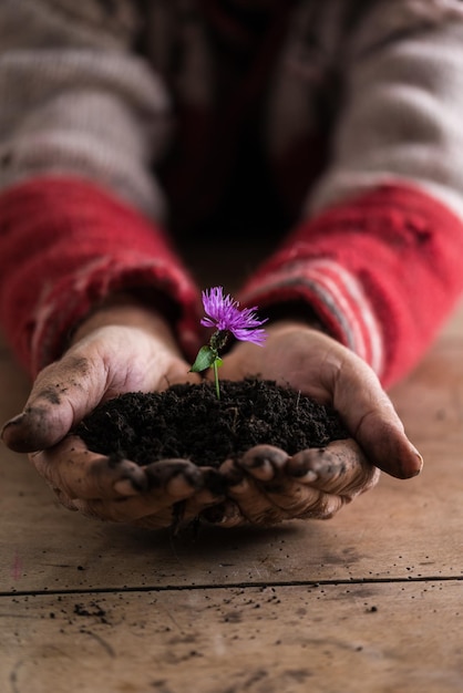 Homme aux mains sales tenant une fleur violette dans un sol dans ses mains adapté aux concepts de spiritualité