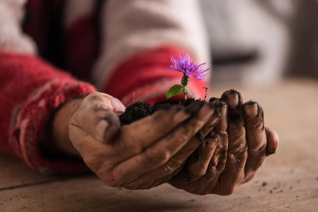 Homme aux mains sales tenant une fleur violette