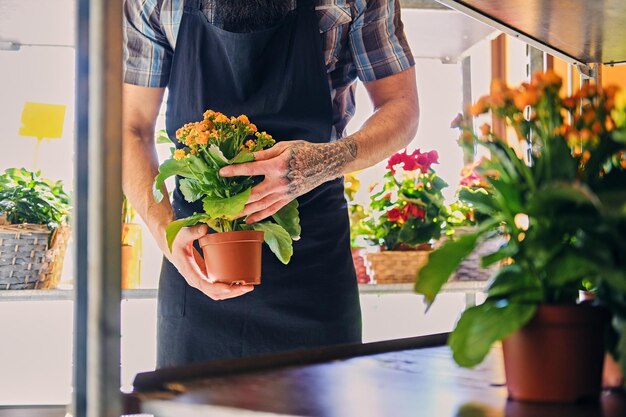 Un homme barbu aux bras tatoués tient un pot de fleurs.