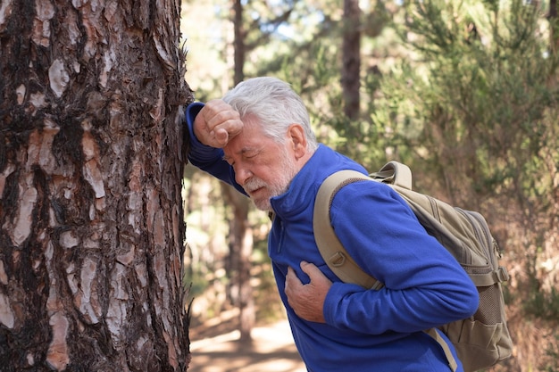 Homme barbu senior avec sac à dos se sentant mal en marchant dans les bois de montagne