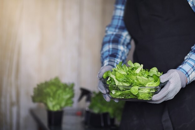 Homme barbu en tablier et gants tient un bol de salade verte fraîche