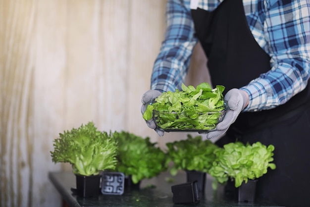 Homme barbu en tablier et gants tient un bol de salade verte fraîche