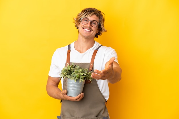 Homme blond jardinier tenant une plante isolée sur jaune se serrant la main pour conclure une bonne affaire
