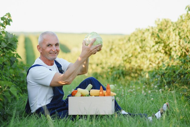 Homme avec boîte en bois de légumes dans le champ