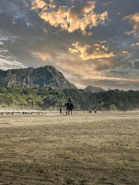 un homme avec un cheval dans la montagne de bromo