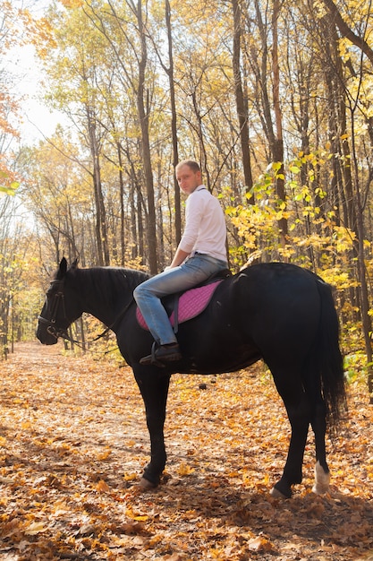 Homme avec un cheval lors d'une promenade dans la forêt d'automne