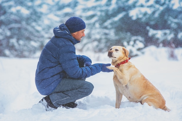 L'homme avec le chien assis dans une pinède enneigée en hiver. Chien labrador retriever dressé étend la patte à l'homme