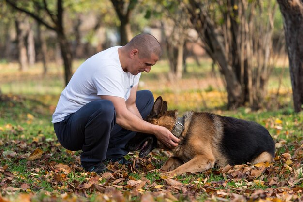 homme, à, chien, berger allemand