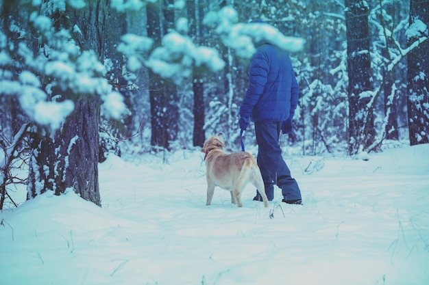 Un homme et un chien en laisse marchent dans une forêt enneigée pendant une tempête de neige.