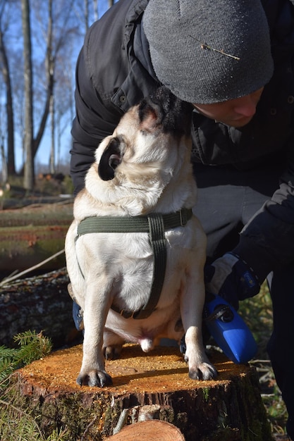 Photo un homme avec un chien.