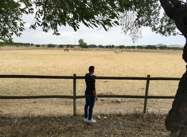 Homme sur une clôture en bois, d'une étable