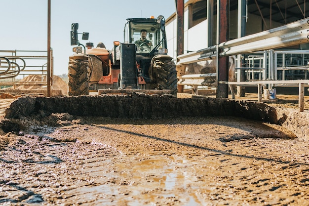 Un homme conduit un tracteur en trainant des excréments de vaches en lactation. emplois conceptuels