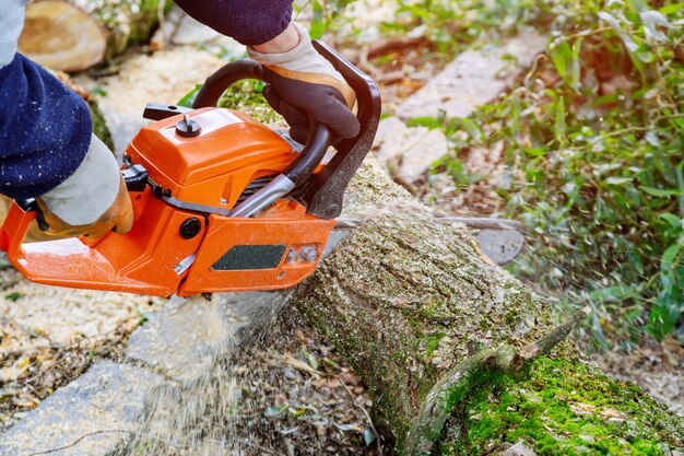 Un homme coupant un arbre avec une tronçonneuse pour les empêcher de tomber