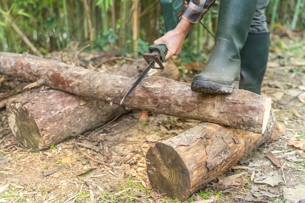 Homme coupant avec une scie électrique Poussière et mouvements Le bûcheron scie un arbre avec une tronçonneuse sur une scierie