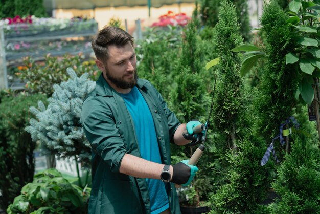 Un homme coupe des arbres décoratifs à vendre dans un magasin de jardinage