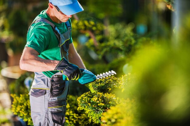 Un homme coupe des plantes dans le jardin.