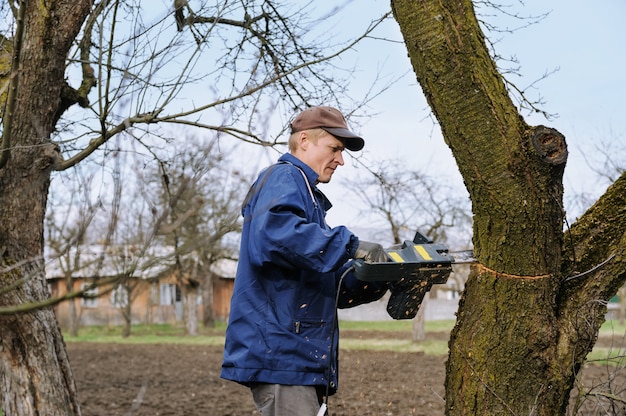 Homme, couper, flétri, arbre