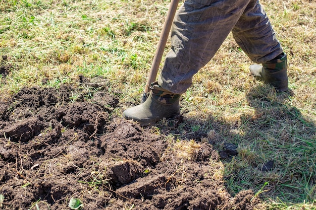 Un homme creuse un jardin avec un travail de jardin à la pelle au printemps en plantant des légumes et des semis
