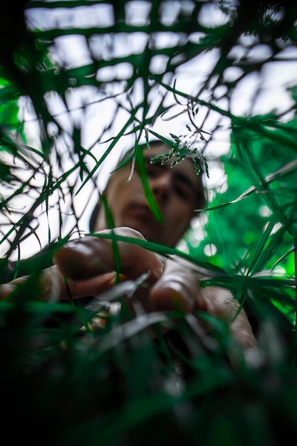 L'homme dans l'herbe