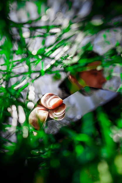 L'homme dans l'herbe