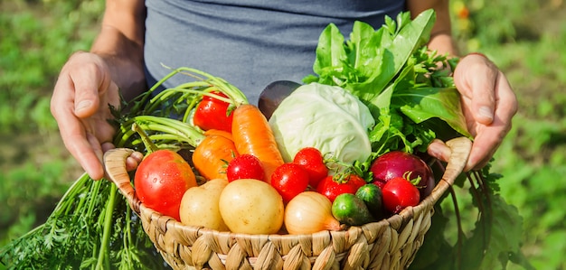 Un homme dans le jardin avec des légumes dans ses mains