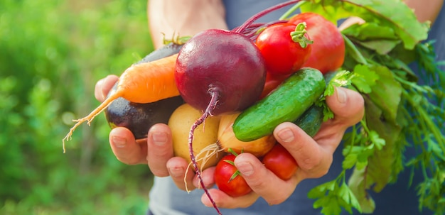 Un homme dans le jardin avec des légumes dans ses mains.