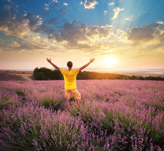 Homme dans le pré de lavande