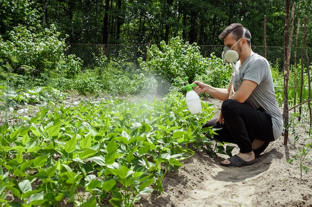 L'homme dans le respirateur arrose les plantes