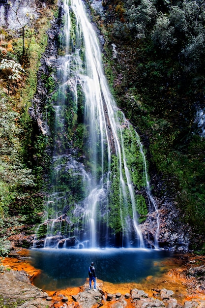 homme debout devant une cascade au fond de la jungle