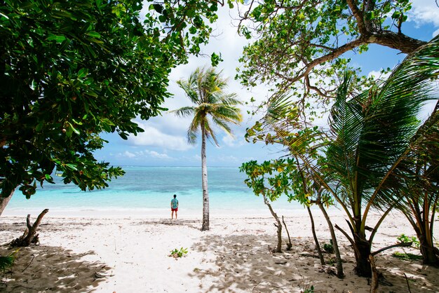 Homme debout sur la plage et profiter de l'endroit tropical avec vue. couleurs de la mer des Caraïbes et palmiers en arrière-plan. Concept sur les voyages et le mode de vie