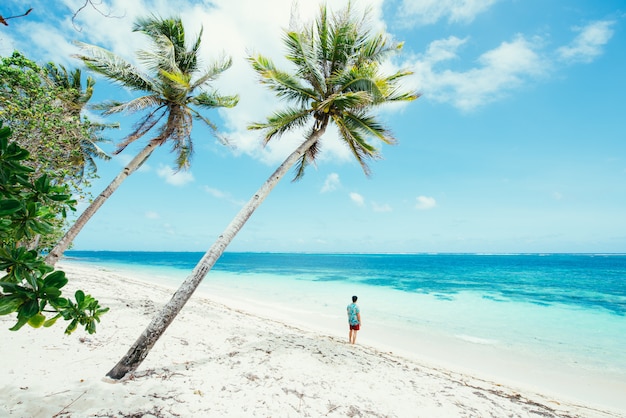 Homme debout sur la plage et profiter de l'endroit tropical avec vue. couleurs de la mer des Caraïbes et palmiers en arrière-plan. Concept sur les voyages et le mode de vie