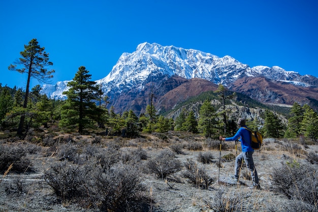 Homme, debout, regarder, vue, neige, montagnes, voyage, photographie