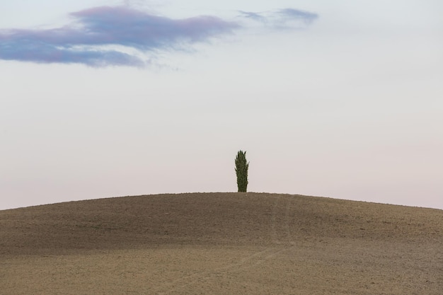 Photo un homme debout sur le terrain contre le ciel